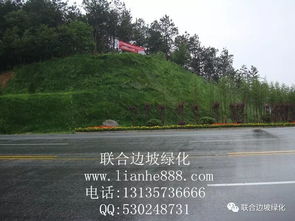 湖北省隨州市外環(huán)連接線邊坡復綠工程