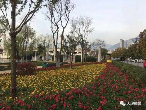 加強(qiáng)園林綠化建設(shè)管理 著力提升城市 高顏值