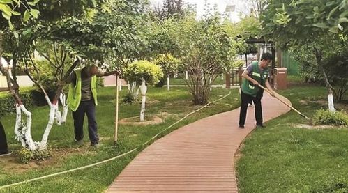 加強(qiáng)園林綠化管護(hù) 提升城市綠色品質(zhì)