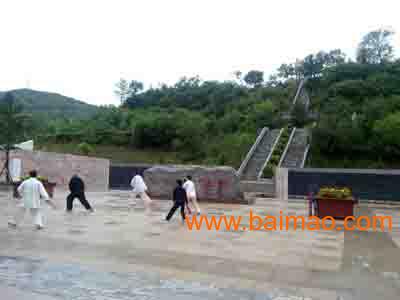 蘭州園林景觀公司 天水制藥廠廠區(qū)景觀綠化 熱推甘肅東方誠信批發(fā)–蘭州園林景觀公司 天水制藥廠廠區(qū)景觀綠化 熱推甘肅東方誠信廠家–蘭州園林景觀公司 天水制藥廠廠區(qū)景觀綠化