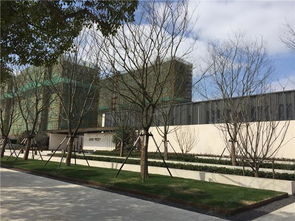 西安園林綠化工程公司 苗木供應 園林綠化 園林養(yǎng)護 綠化施工 綠化改造