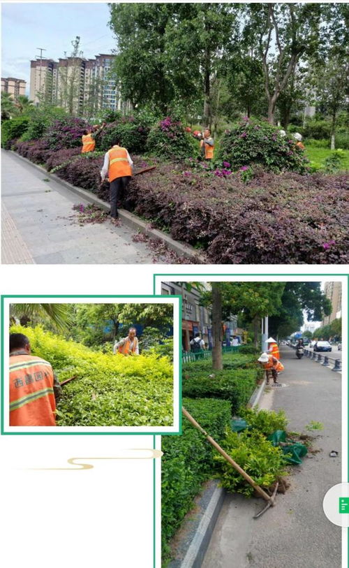 西昌 創(chuàng)文進行時 園林綠化來助力